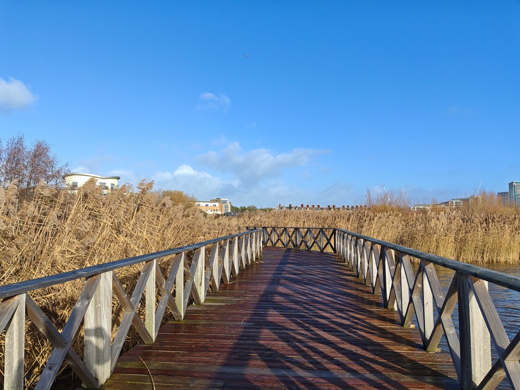 A sample image taken with the Poco F8 Ultra