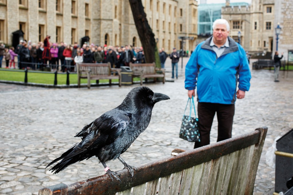 GB. England. London. Tower of London. 2015. Martin Parr