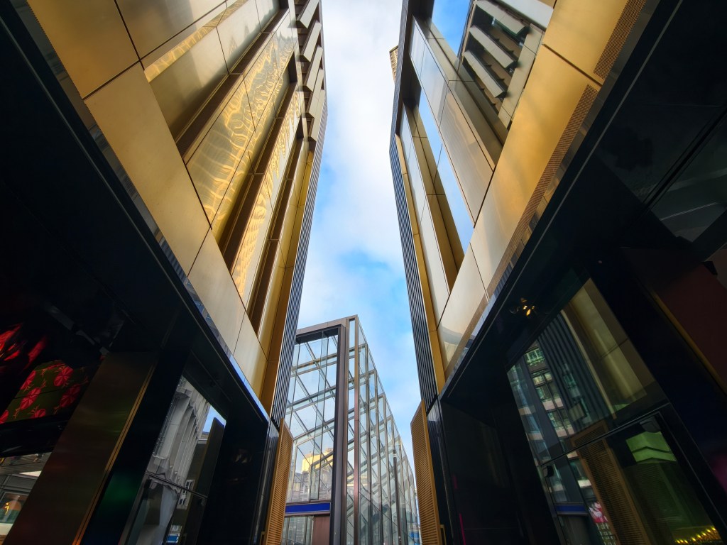 Vivo X300 Pro ultra-wide-angle camera. Photo Joshua Waller