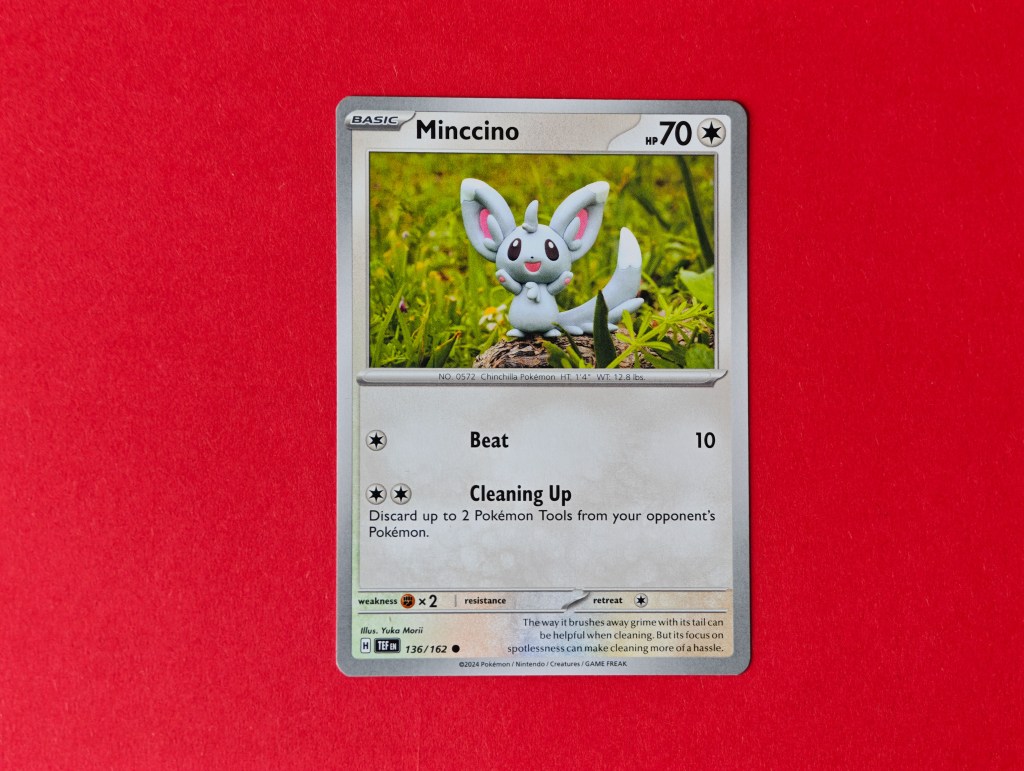 A Minccino Pokemon card, with artwork by Yuka Morii