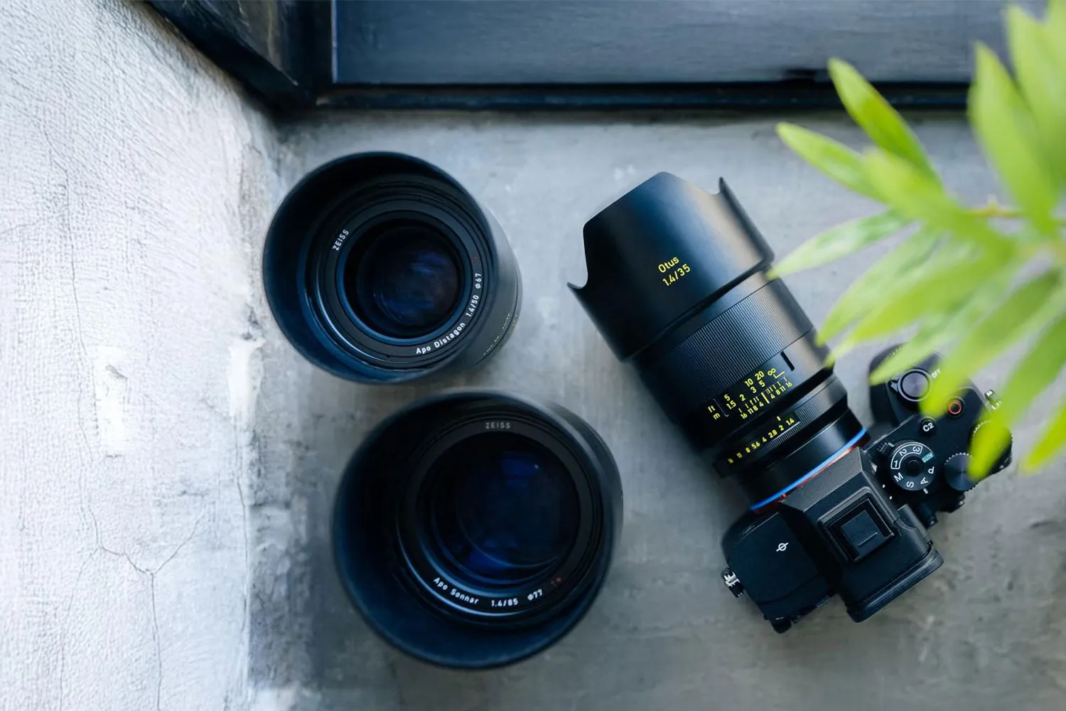 The night owl returns - new Zeiss Otus 35mm f/1.4 ML | Amateur