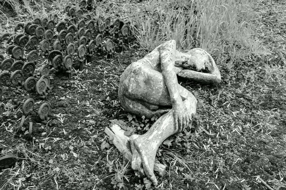 Photography and bereavement feature