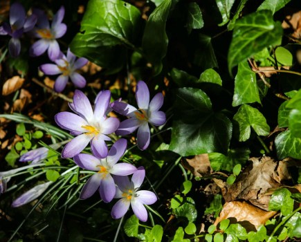 Photography and bereavement feature