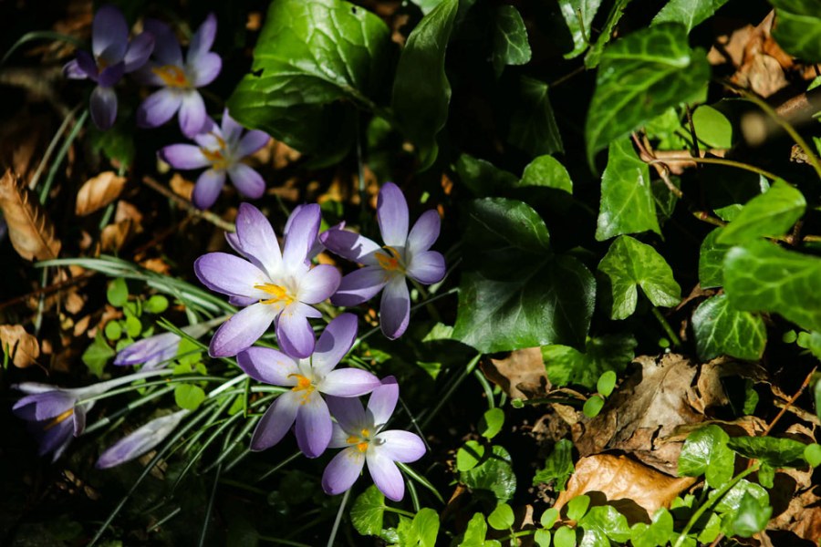 Photography and bereavement feature