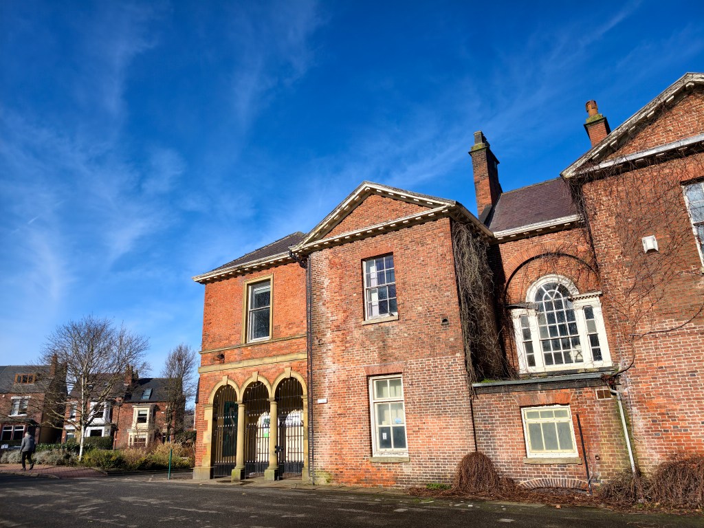 Vivo X300 Pro - main-wide (1x). Photo JW