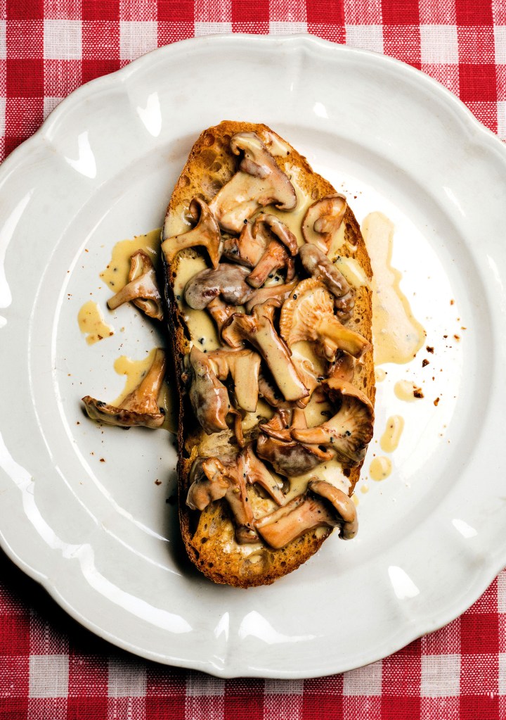 Mushrooms on a slice of bread