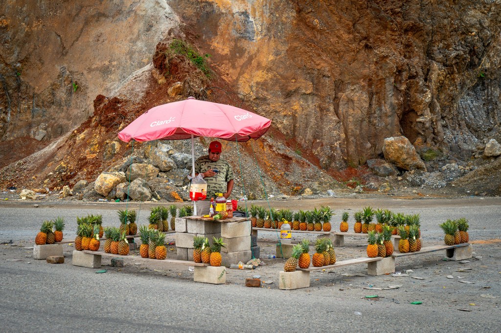 man on the side of a road under an umbrella selling pineapples
