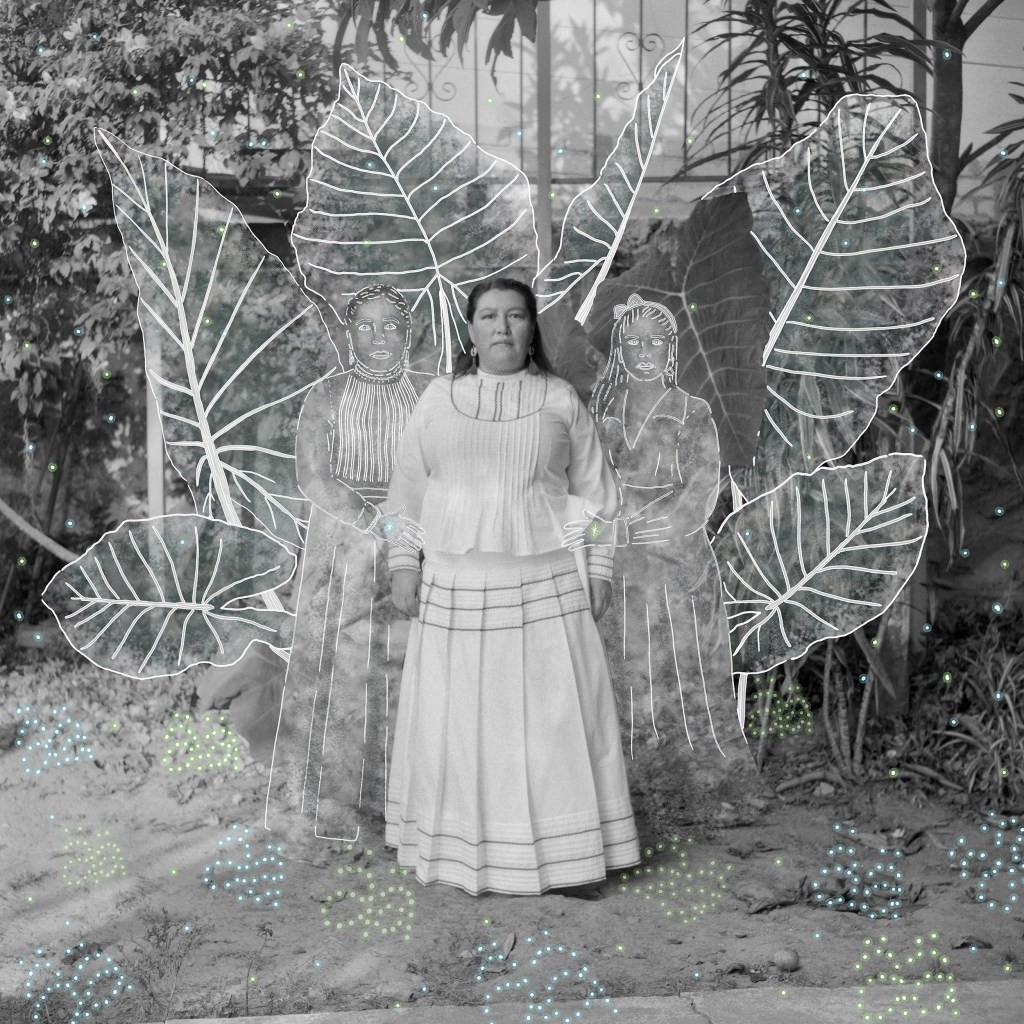 Yasnaya is an Ayuujk linguist, writer and activist who advocates for language diversity and indigenous rights. Here, Yasnaya is represented with her grandma and great grandma, the pillars of her education and her guides to seeing the world. The ‘ää’ represents the seeds she has planted to protect and preserve her native language.