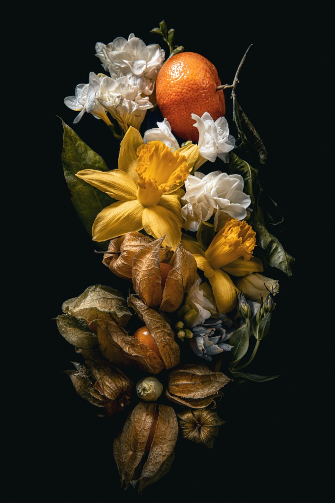still life flat lay of daffodils and satsumas