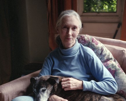 Jane Goodall