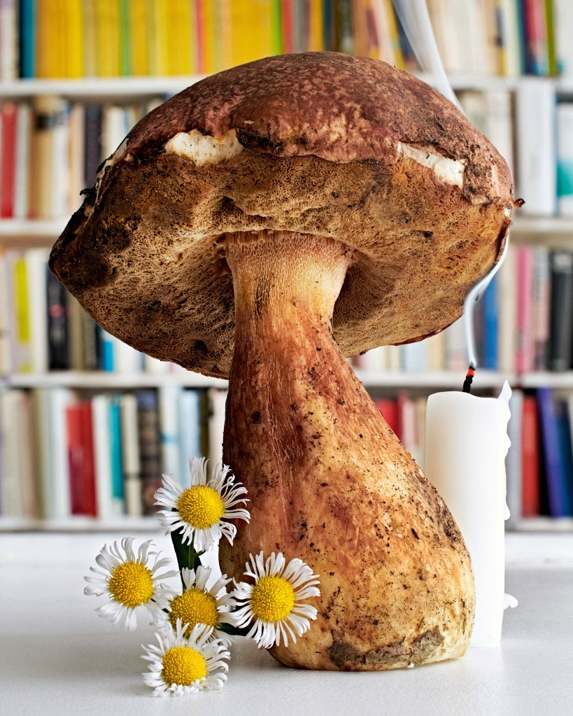 Mushroom and flowers