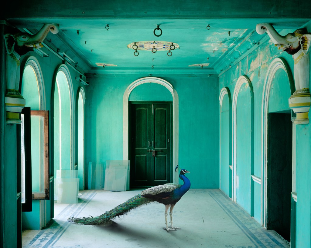 The Queen's Room © Karen Knorr