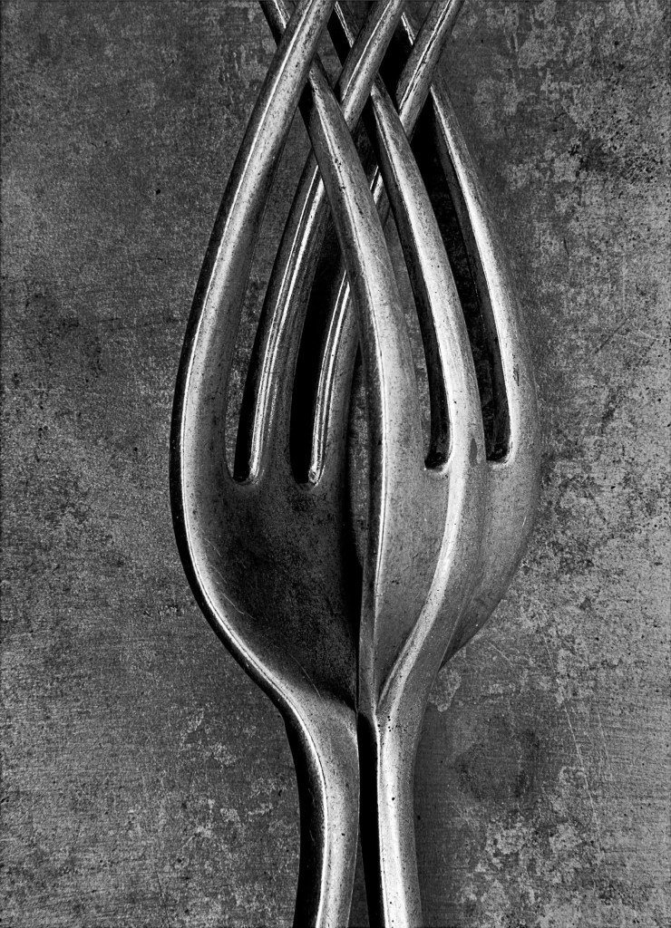 black and white photo of two fork head interlocked