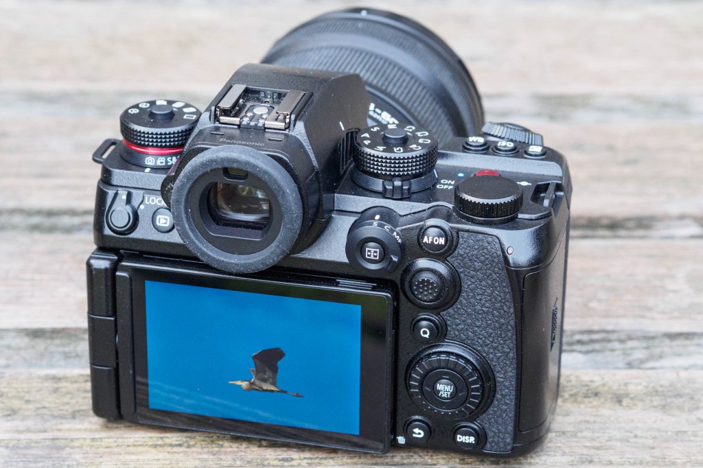 Panasonic Lumix S1II rear controls
