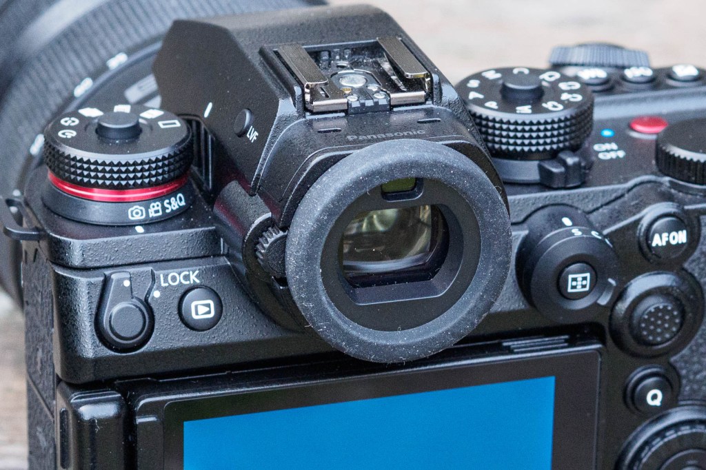 Panasonic Lumix S1II viewfinder. 