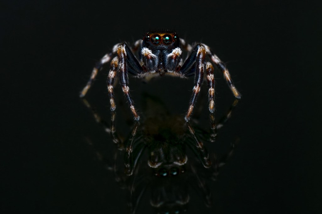 ‘Stripey Jumper’ was the 10 Years and Under, Crikey! Magazine Photography Competition Winner 2025. Photo: Jamie Smart