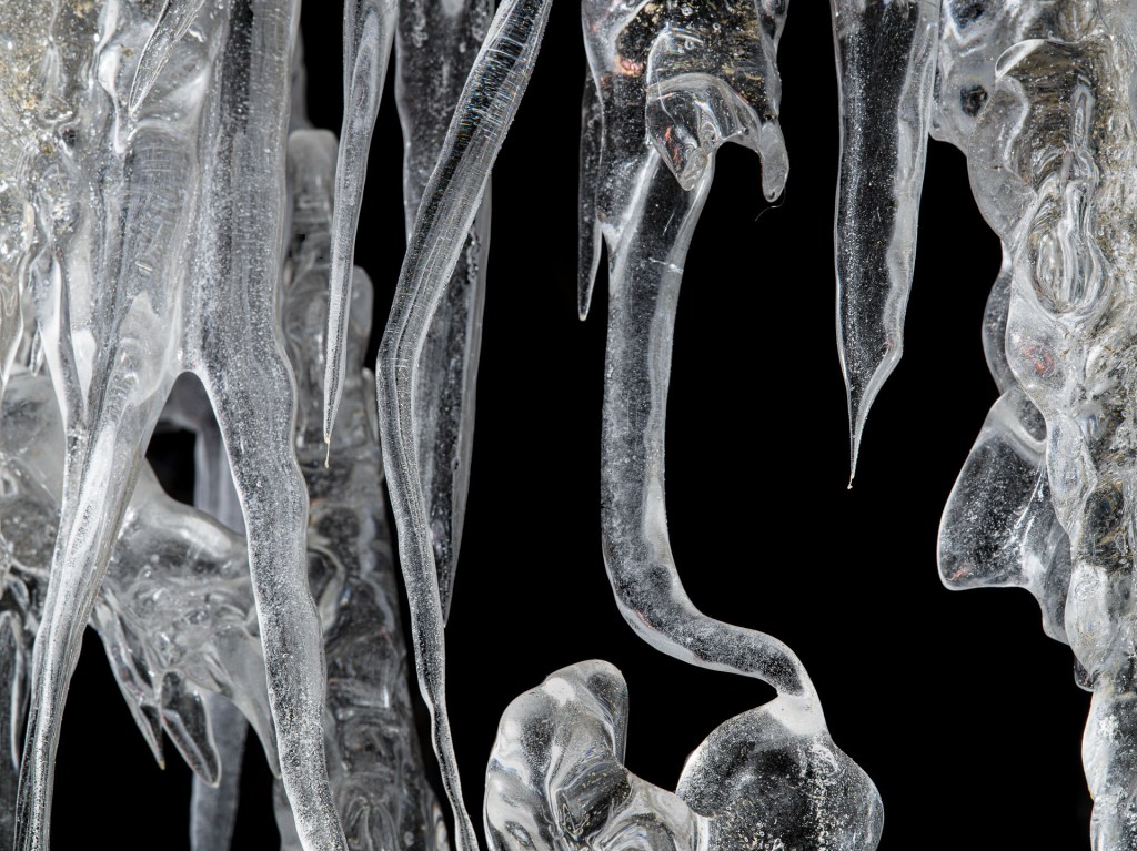 macro photo of icicles
