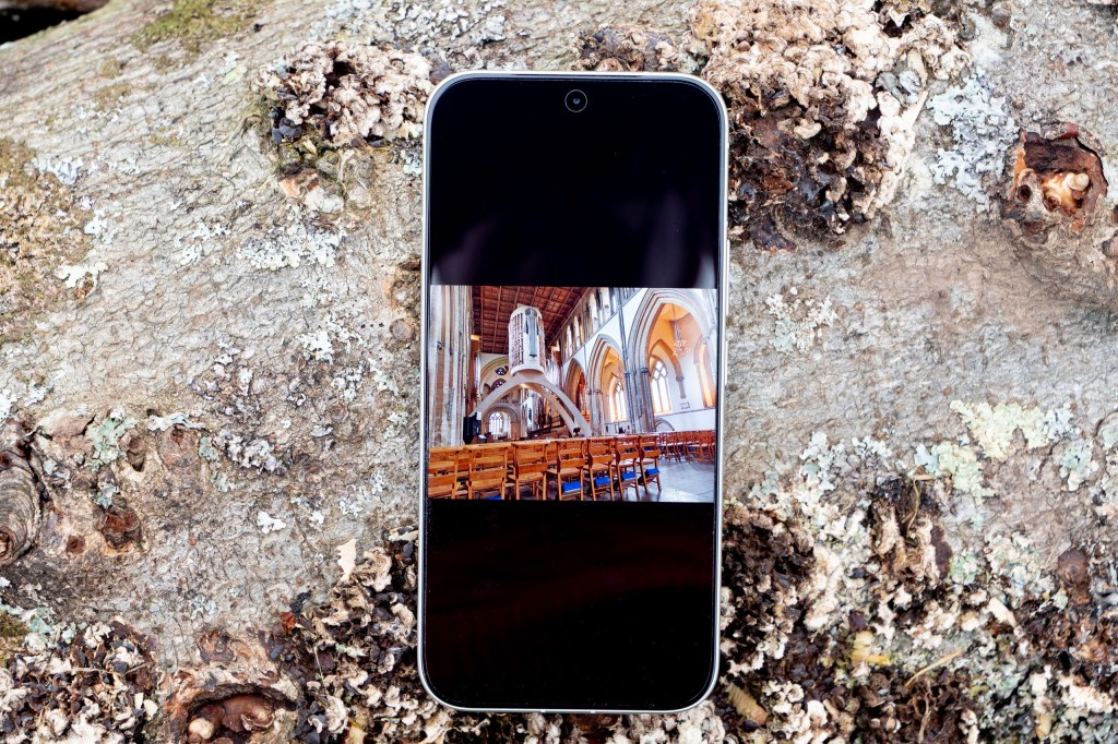 An image displayed on the Vivo V70 screen