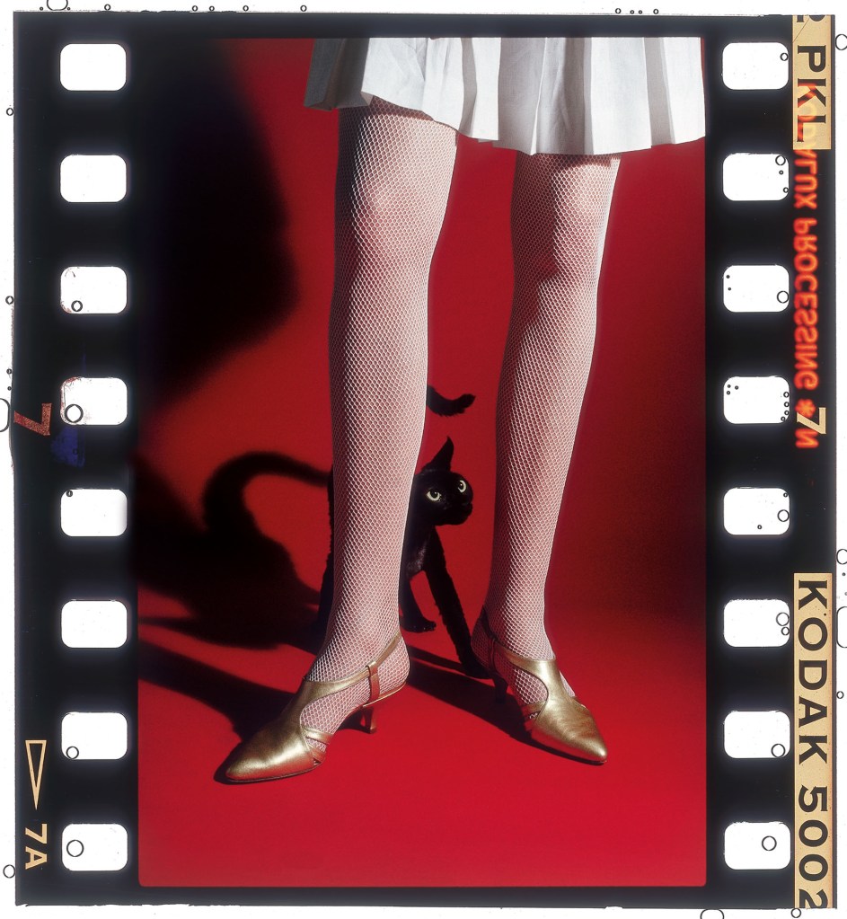 a woman's legs 