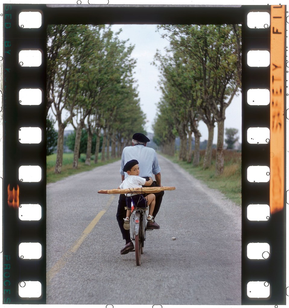 The back shot of a man with a small boy on a bicycle