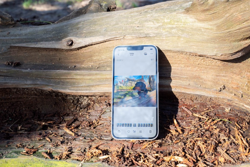 The iPhone 17e switched on, showing an image taken with the phone