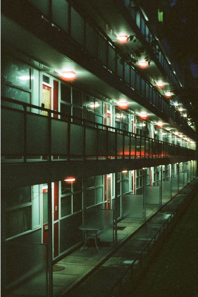 Sample image of Cinestill 800T showing night photo and strong halation