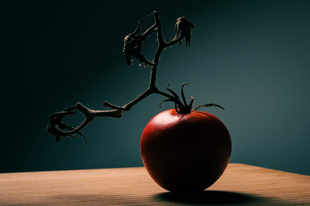 Neewer Z3R flash unit sample, still life tomato
