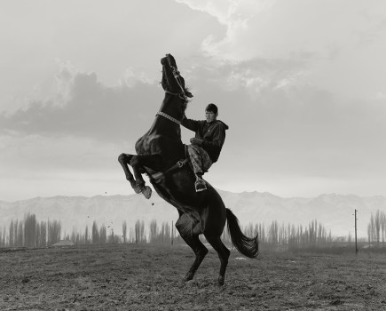 man on the back of a horse on its hind legs