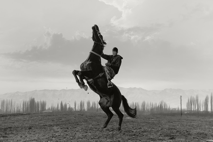 man on the back of a horse on its hind legs