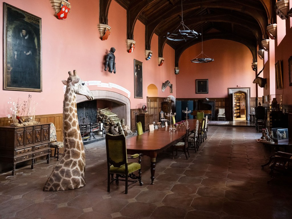 a large dining hall with a stuffed top half of a giraffe

