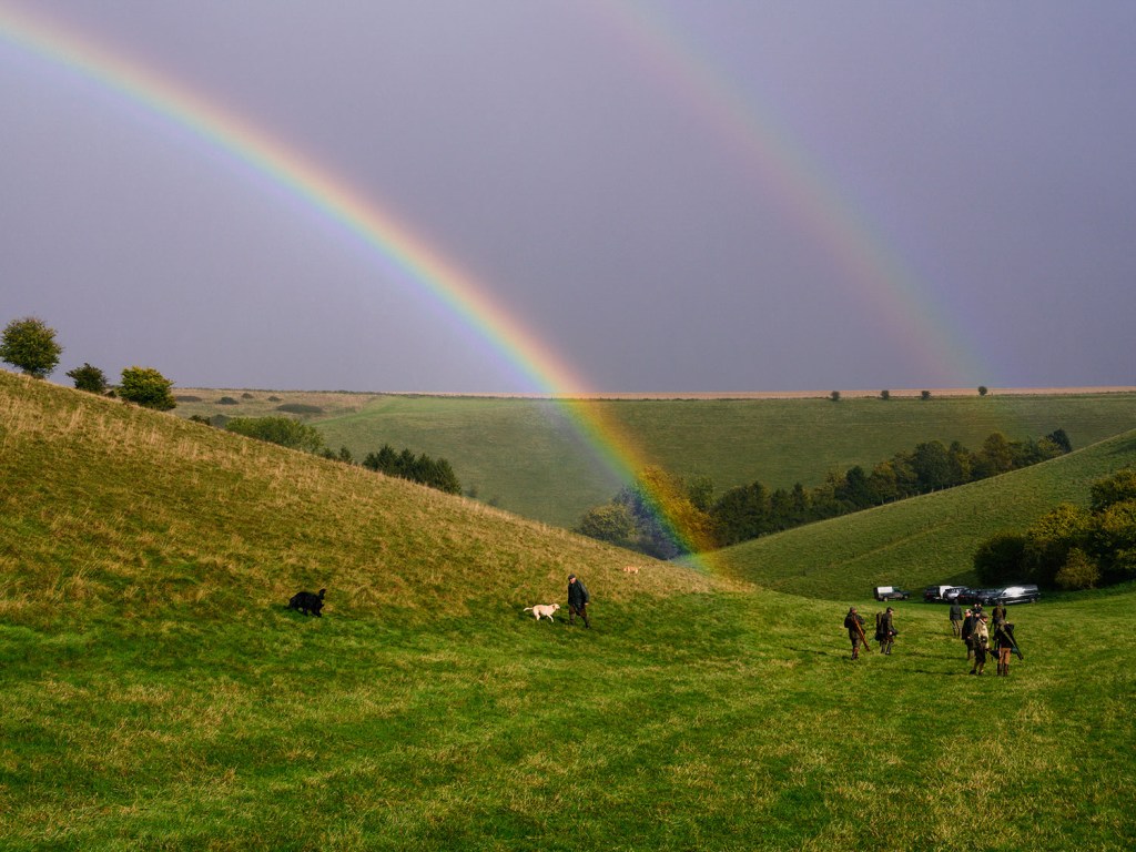 a rainbow over a green landscape