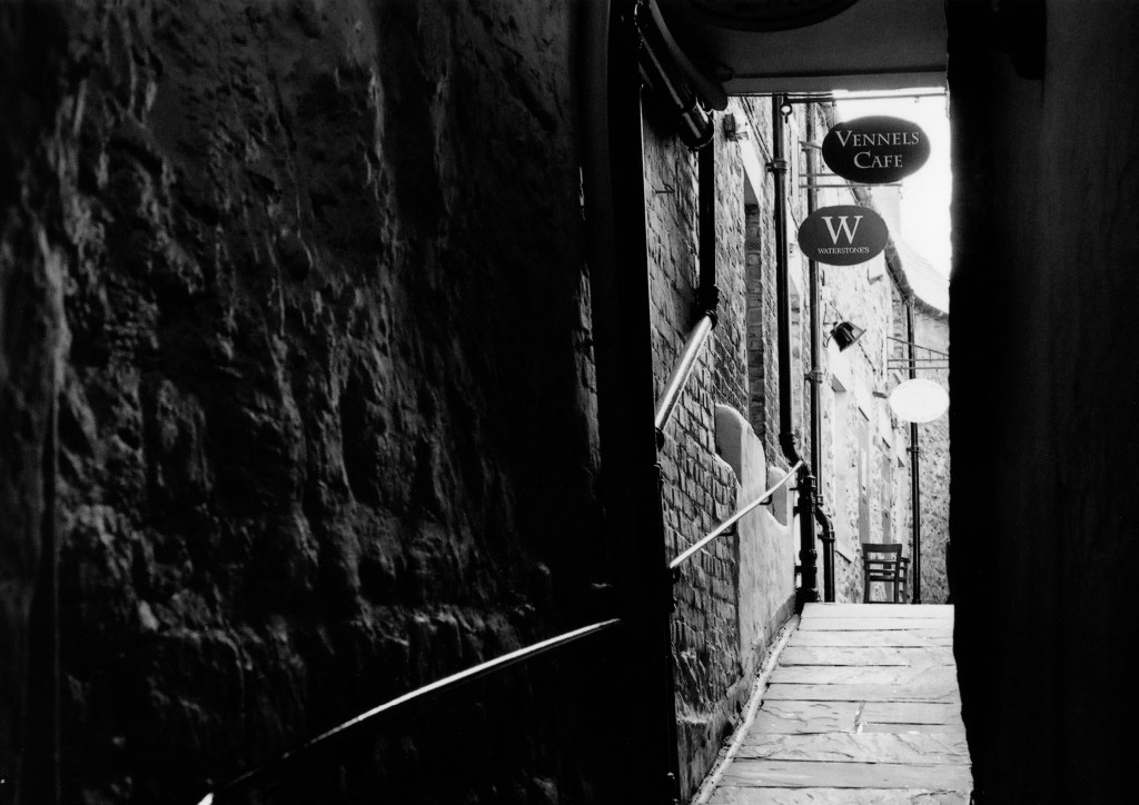 The autoexposure system in the camera isn’t easily confused by strong contrast, preserving critical shadow detail