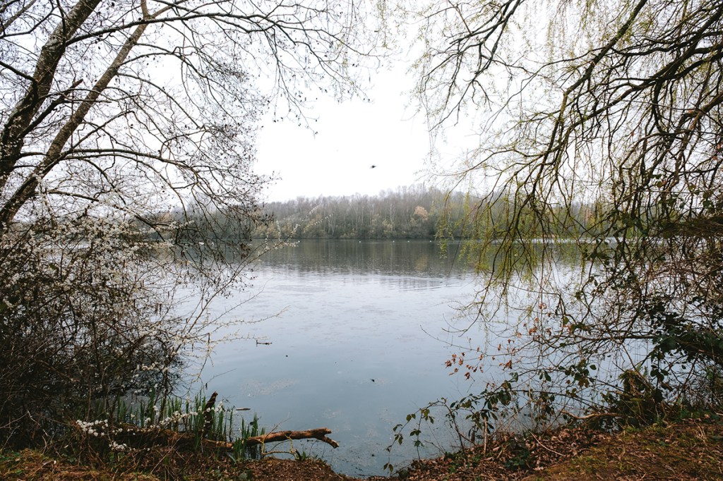 landscape photo of a lake