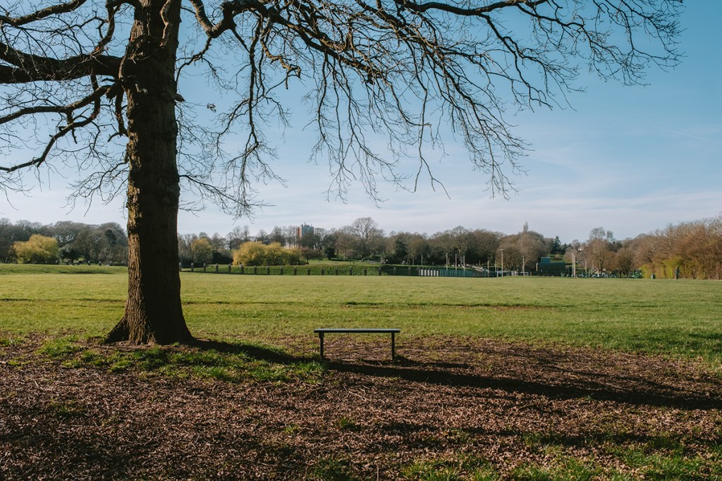 landscape photo of a playing field with a bench in the centre