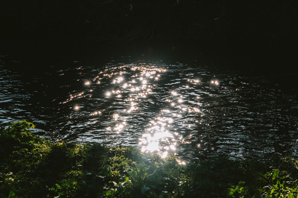 sunlight sparkling on water
