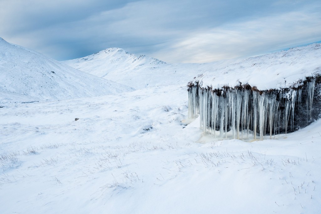 snowy landscape scene