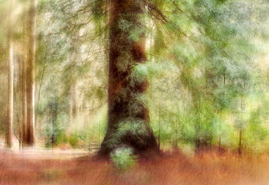 intentional camera movement tree in spring with light green leaves