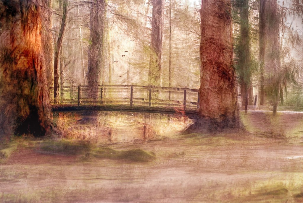 landscape in the new forest with bridge blurred 