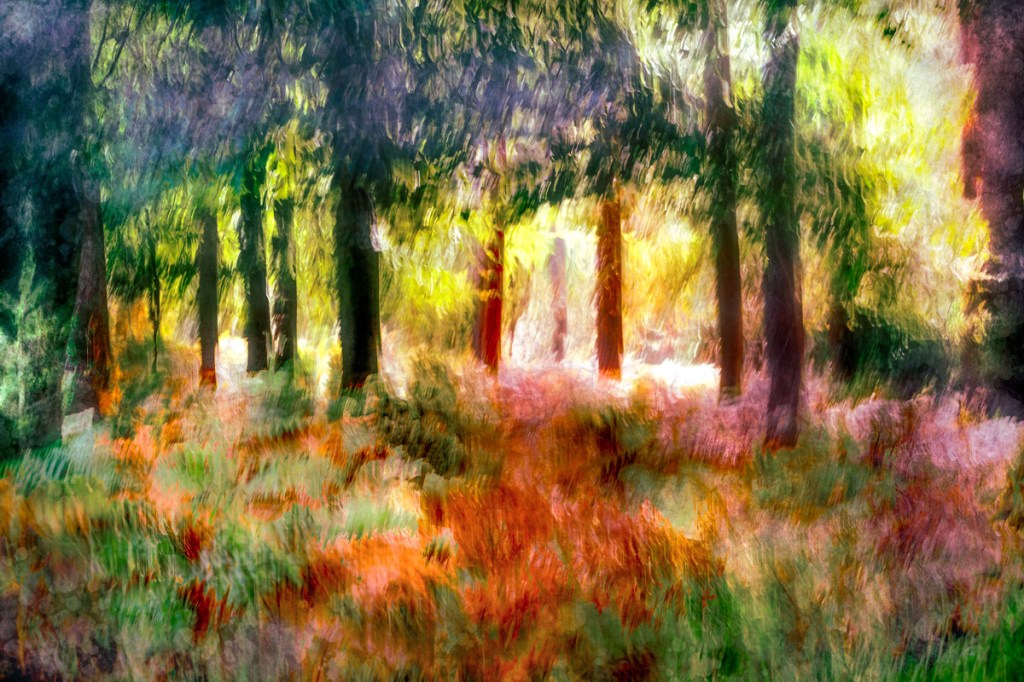 colourful landscape with motion blur