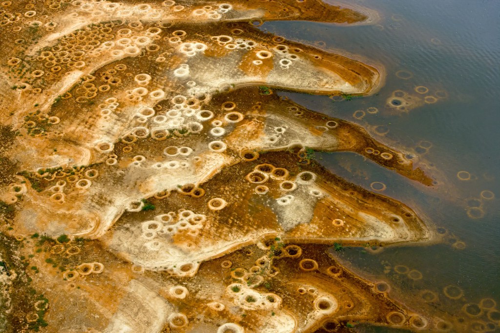 Nests of tilapia cichlids on the banks of the Ogooué River, Ogooué-­ Maritime Province, Gabon