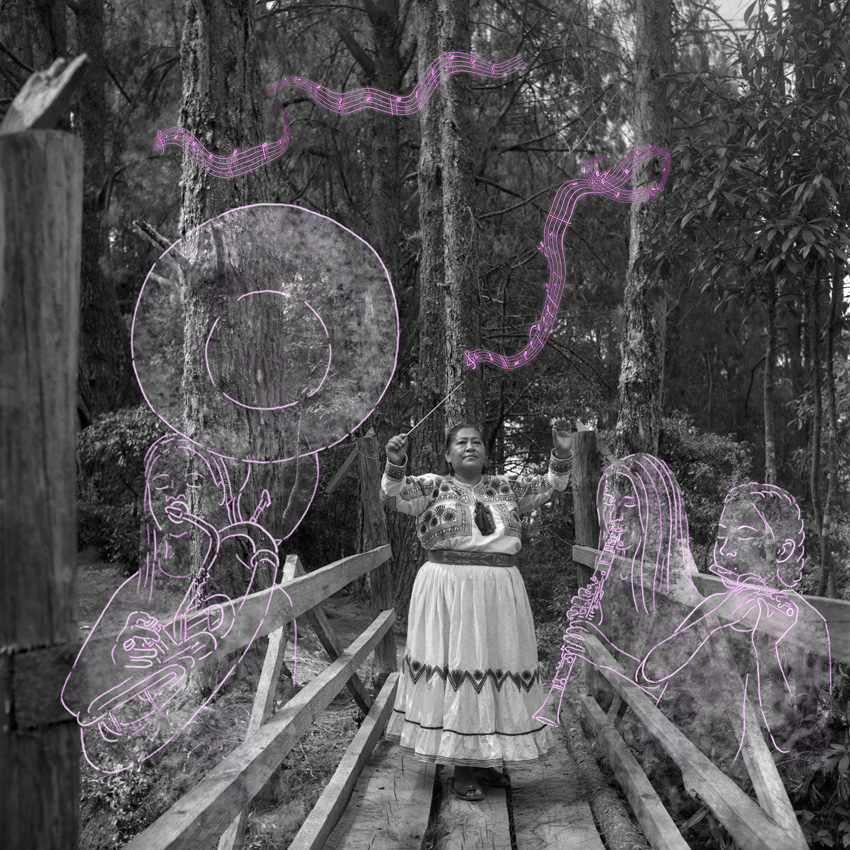 black and white portrait of a woman with light pink illustrations drawn around her