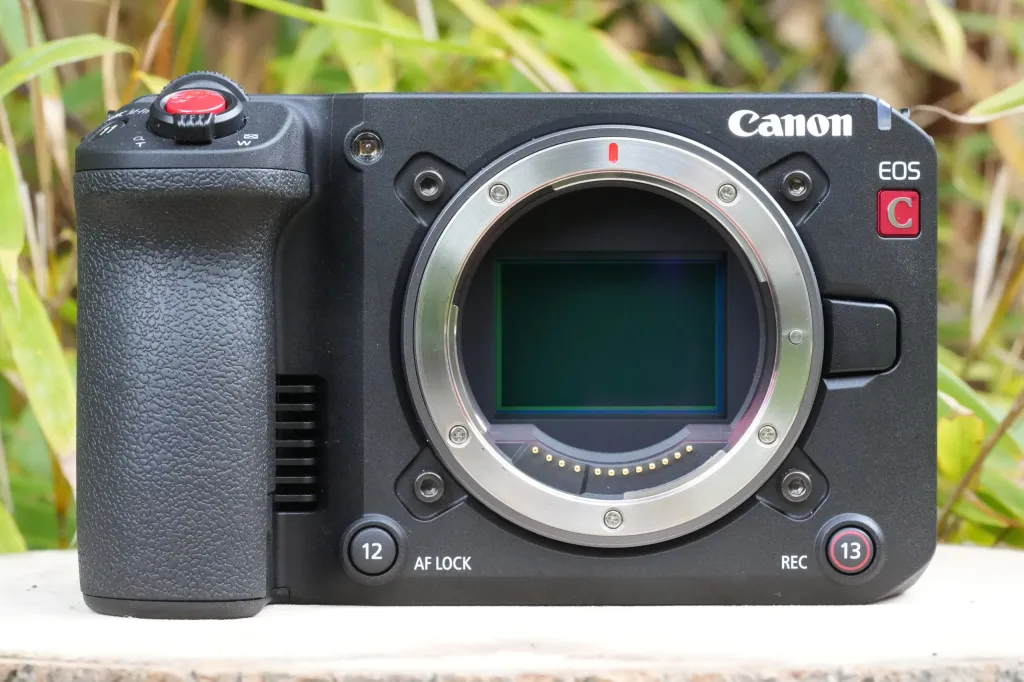 anon EOS C50 mirrorless camera sensor