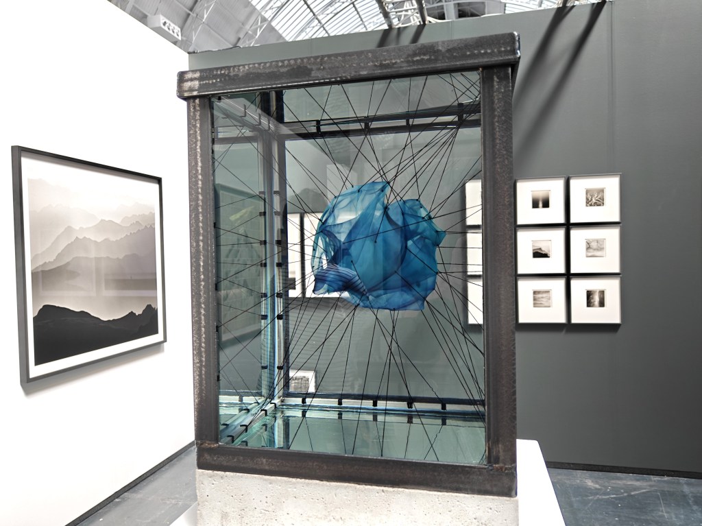 cyanotype tank sculpture