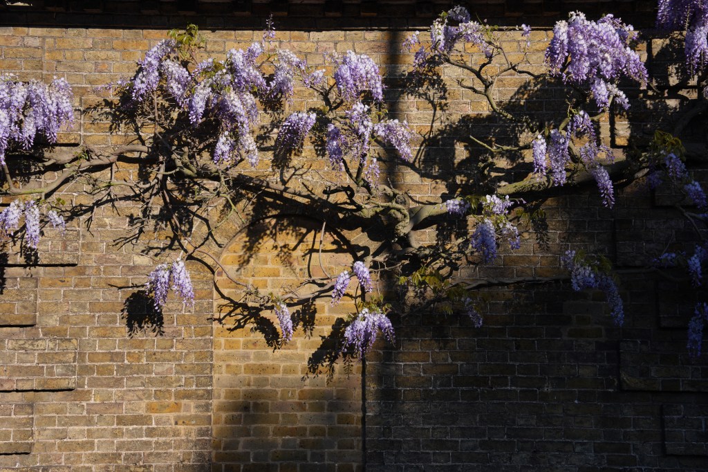 Sony Alpha A7R VI sample image.