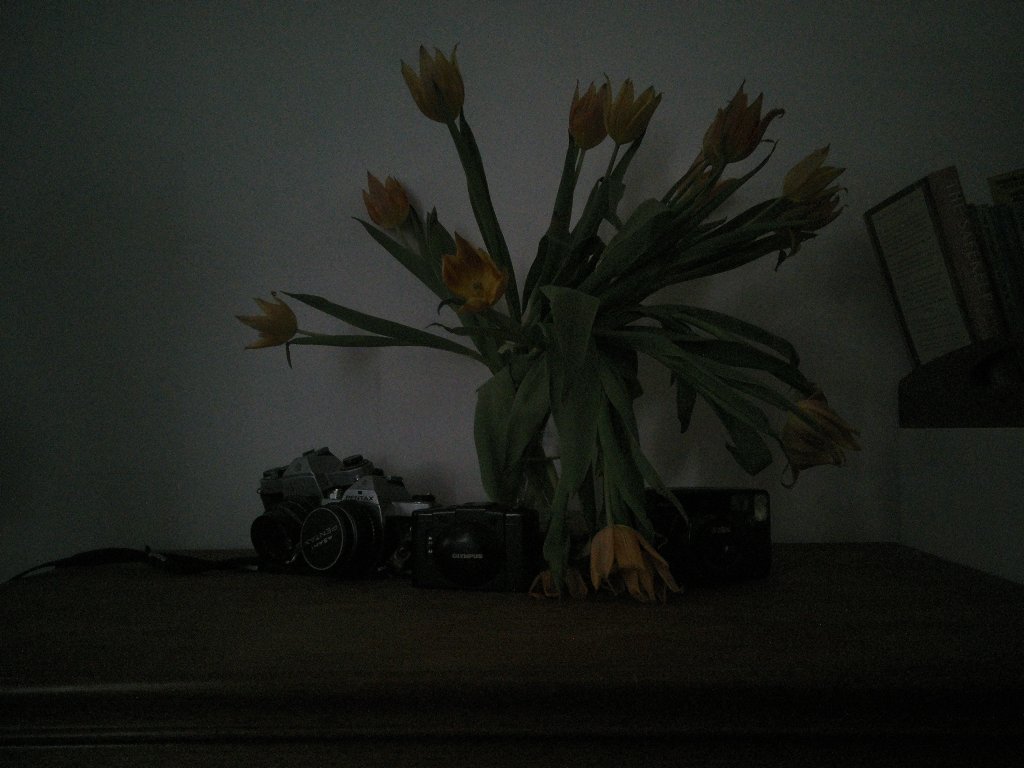 Sample from Camp Snap CS-PRO, showing a still-life of cameras and flowers. Image is underexposed