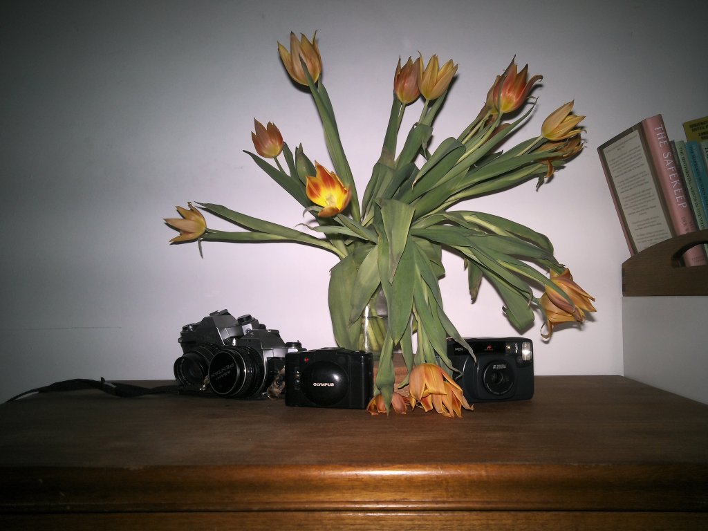 Sample from Camp Snap CS-PRO, showing a still-life of cameras and flowers. Image balanced, clear and well-exposed.