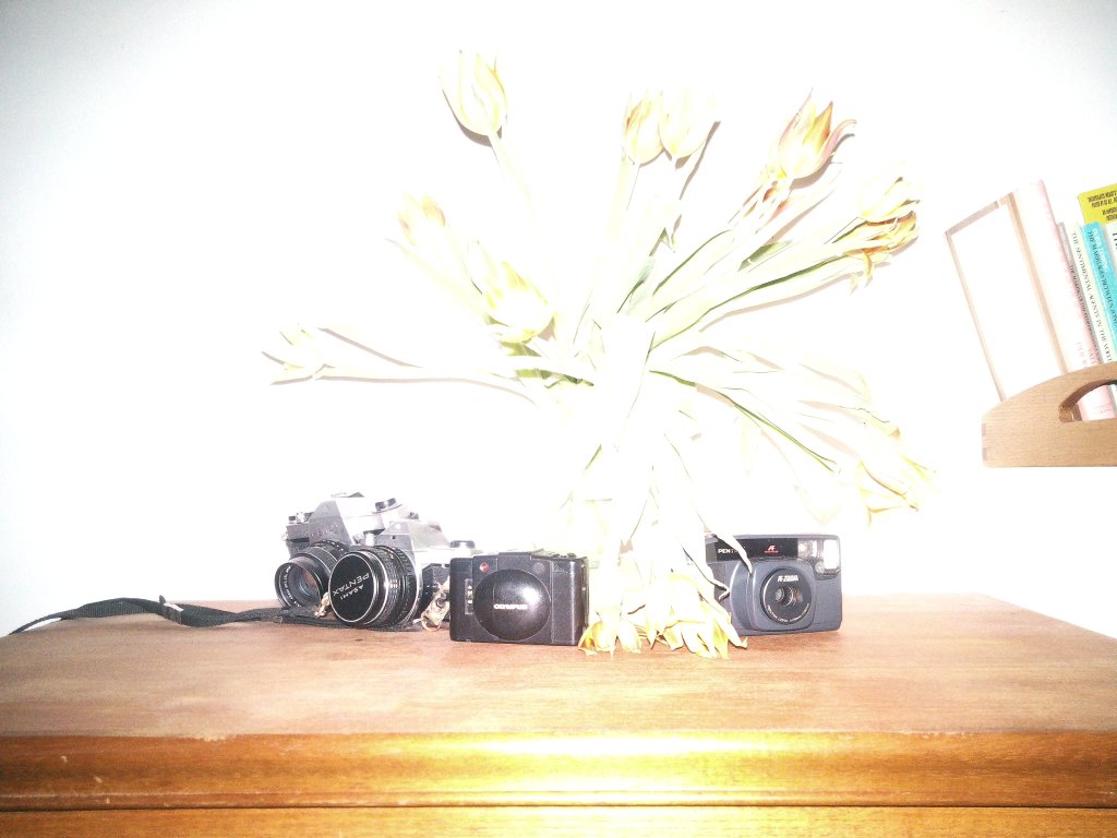 Sample from Camp Snap CS-PRO, showing a still-life of cameras and flowers. Image is almost completely blown out.