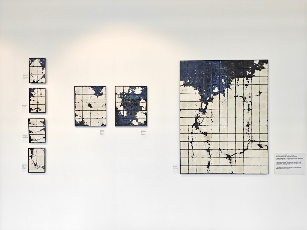 ‘A Continual Unfolding’ Tjitske Oosterholt (Contour Gallery)
