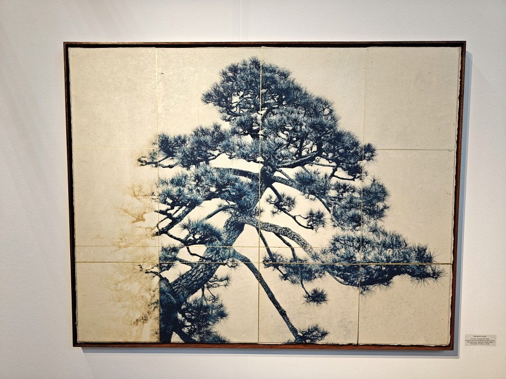‘Shade no.4’ by Lucas Ortis (Open Doors Gallery), Photo London 2026.