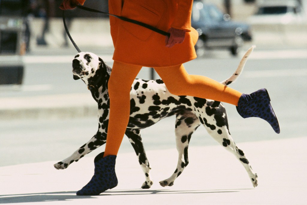 By kind permission of Condé Nast